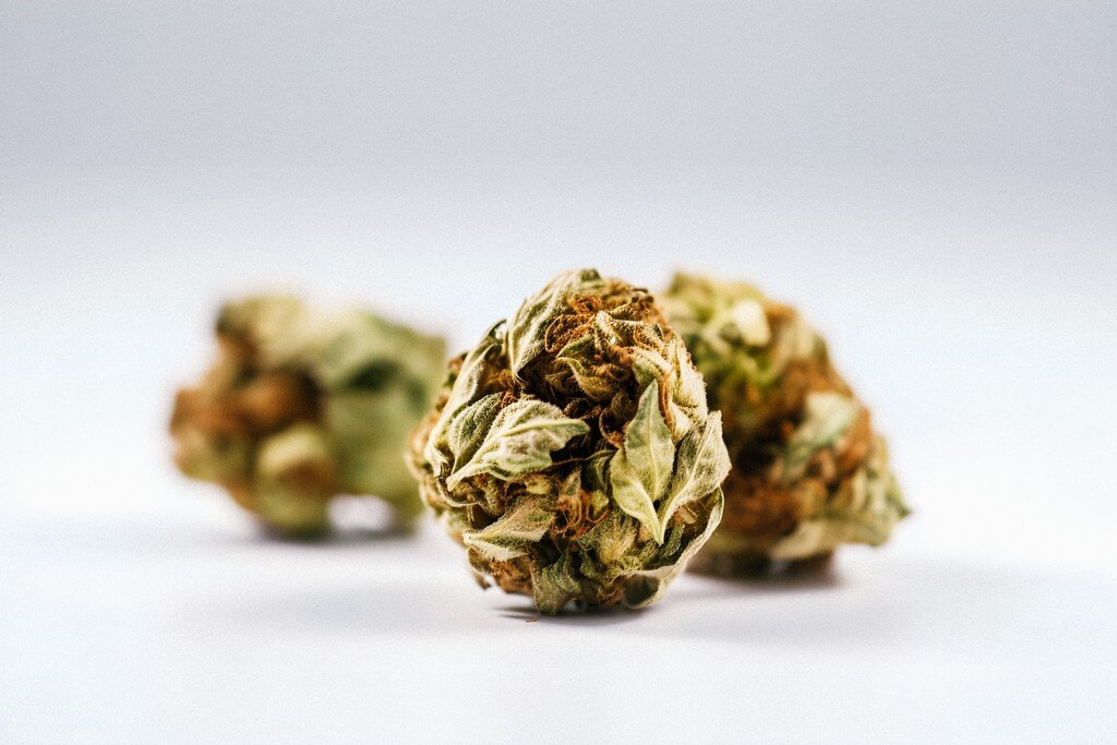 Plantas de cannabis saludables rodeadas de crecimiento natural, fotografiadas con alta calidad. Plantas de cannabis saludables rodeadas de crecimiento natural, fotografiadas con alta calidad.