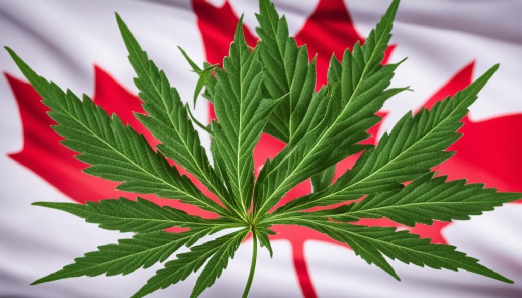 CBD legal en Canadá CBD legal en Canadá