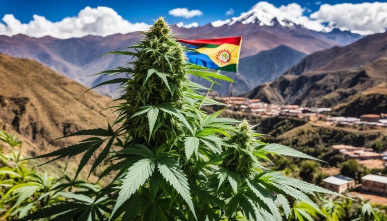 CBD legal in Bolivia