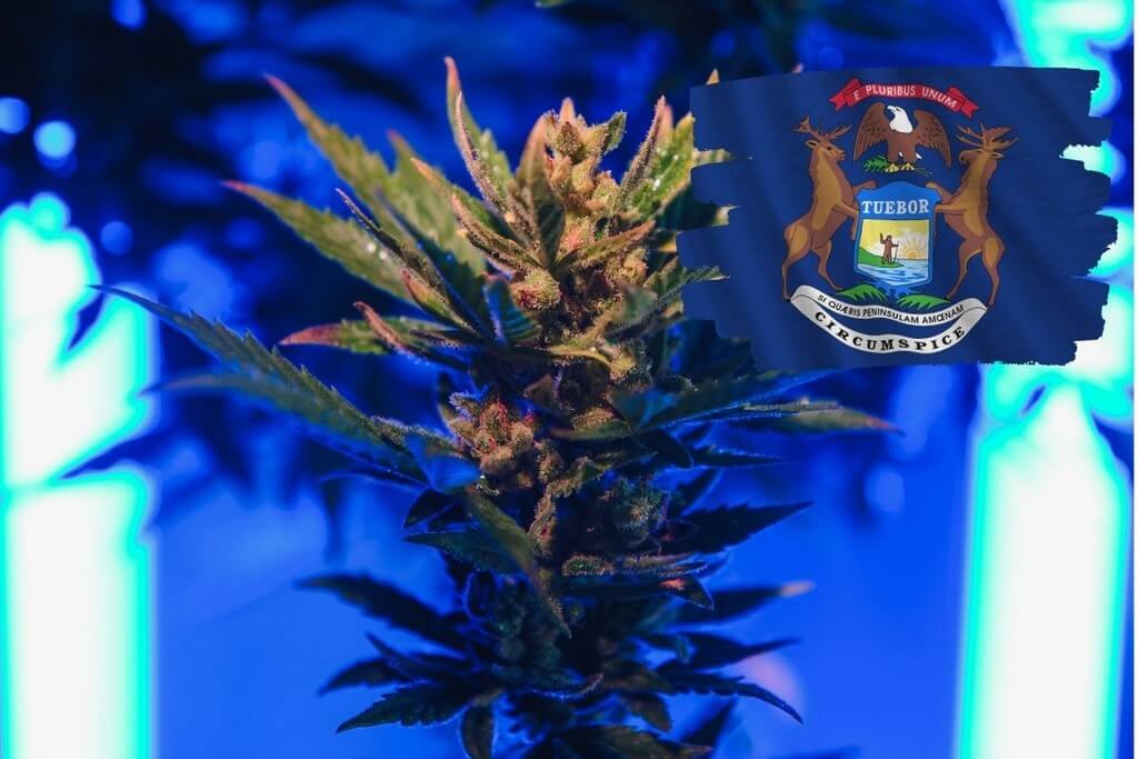 Delta-8 THC Legality in Michigan