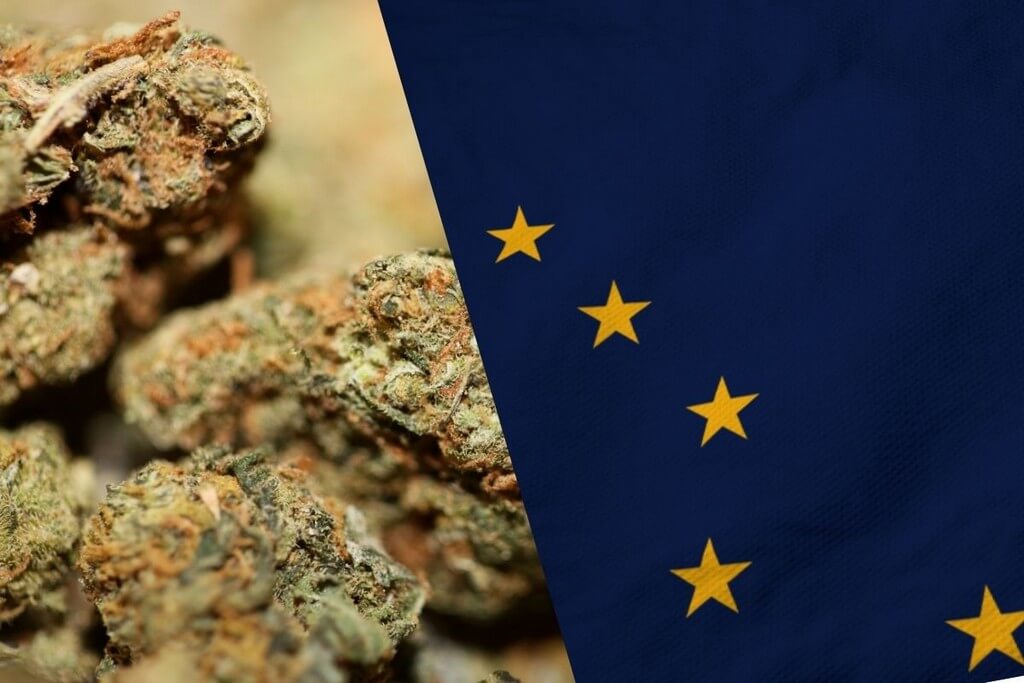 Legality of THCa Flower in Alaska