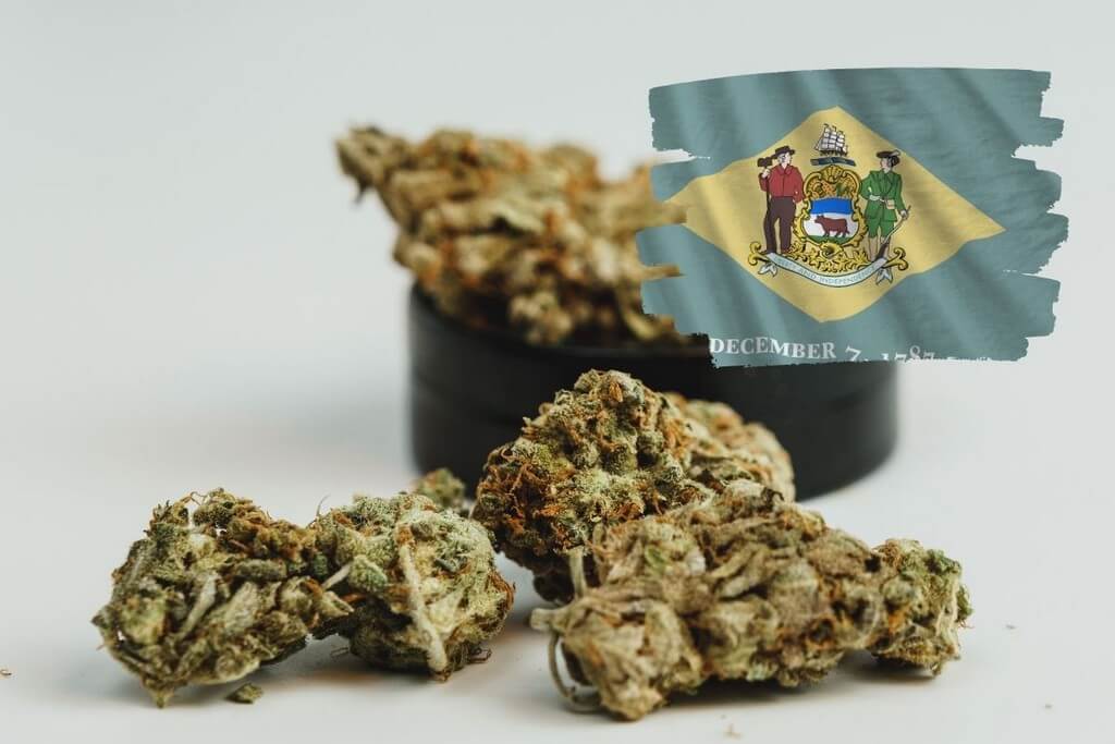 Legality of THCa Flower in Delaware