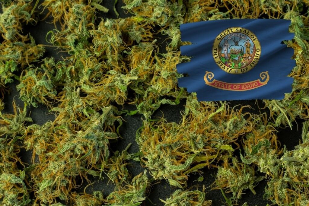 Legality of THCa Flower in Idaho