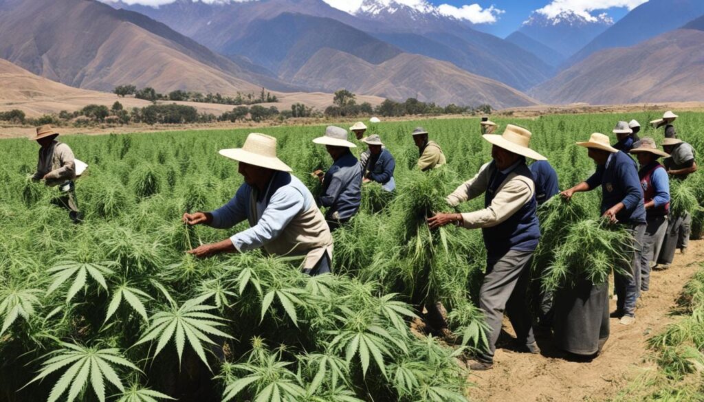 beneficios del CBD en Bolivia beneficios del CBD en Bolivia