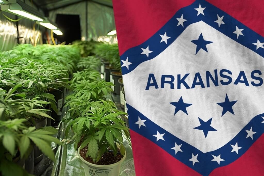 growing marijuana arkansas