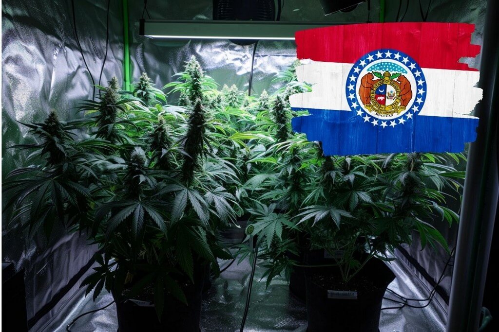 growing marijuana in missouri
