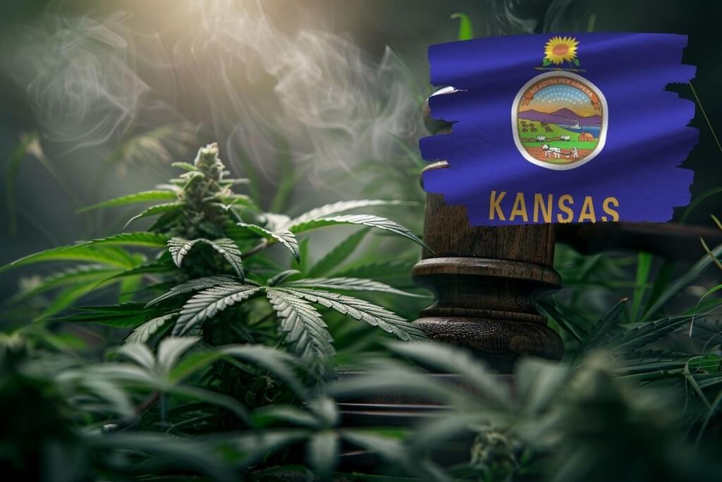 marijuana laws kansas