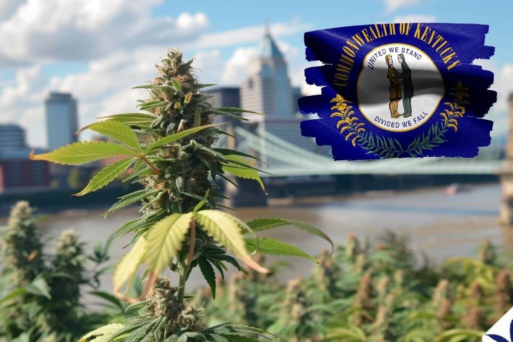 marijuana laws kentucky