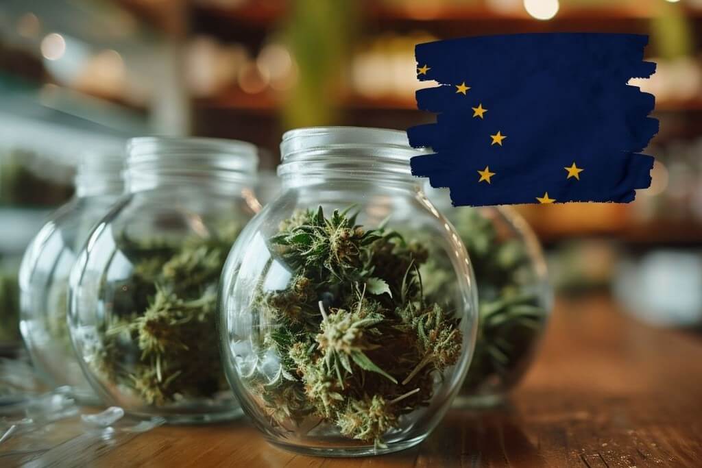 open cannabis dispensary alaska