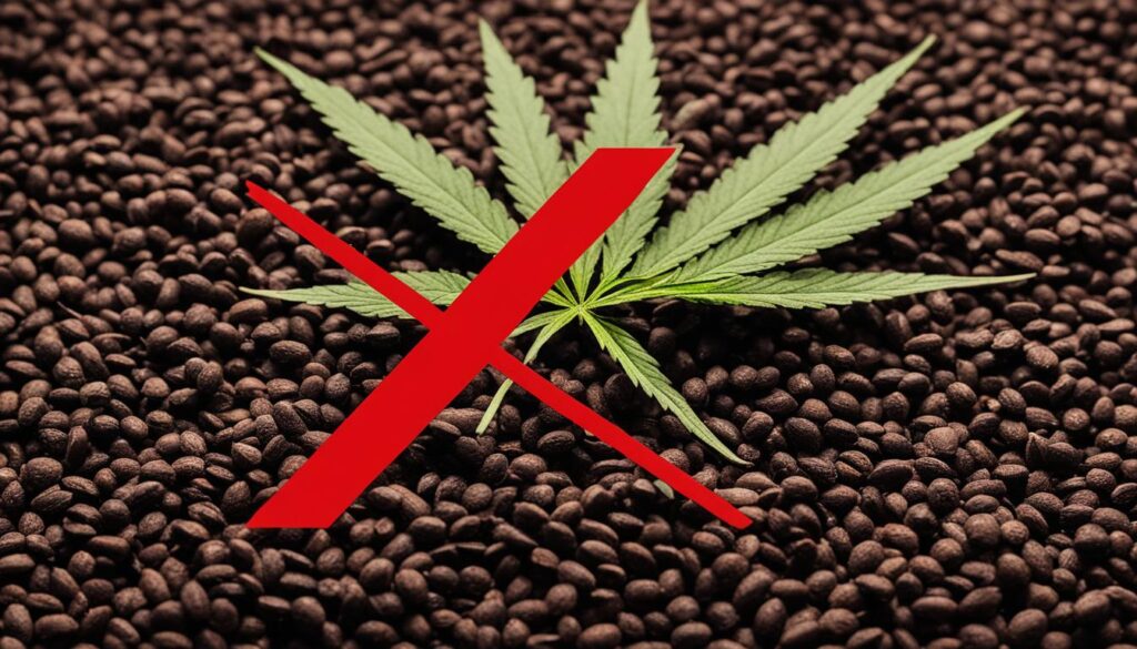 restricciones legales de semillas de marihuana en Paraguay restricciones legales de semillas de marihuana en Paraguay