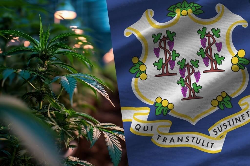 start commercial marijuana grow operation connecticut