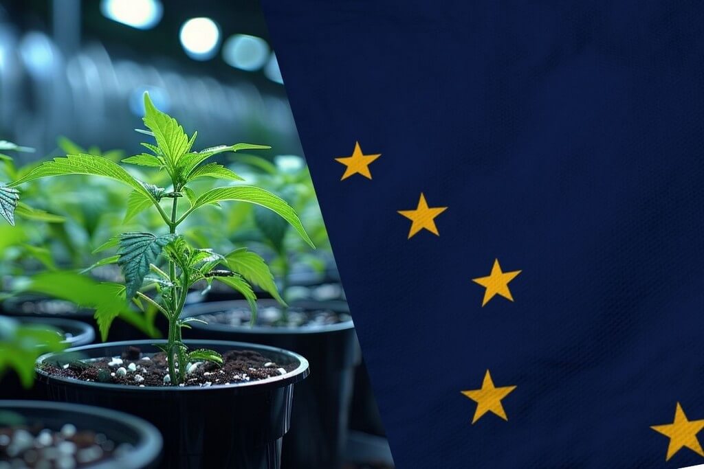 start commercial marijuana grow operation in alaska