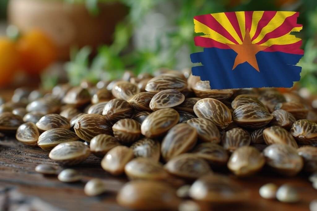 start marijuana delivery service arizona