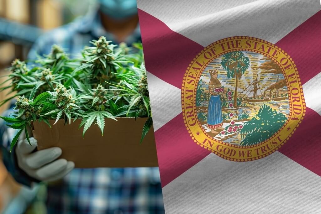 start marijuana delivery service florida