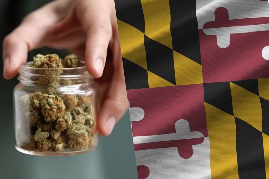 start marijuana delivery service maryland